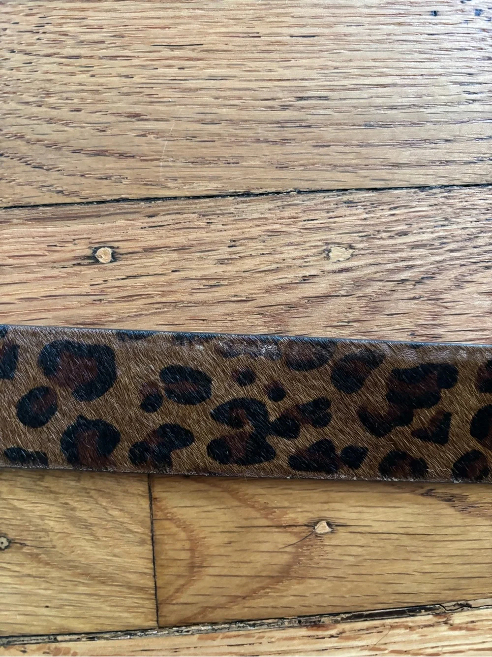 J. Crew Leopard Print Brown and Black Belt with Gold Buckle - Picture 3 of 6